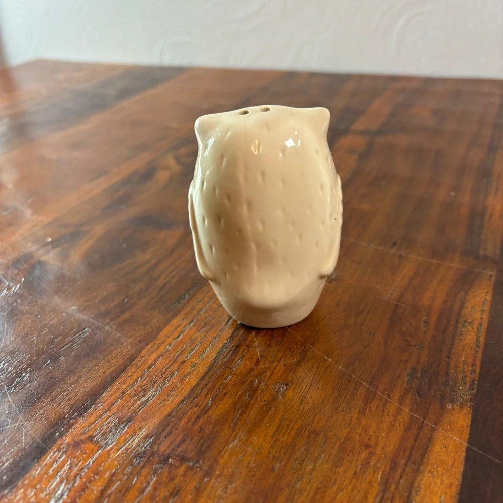 Pier One Imports Ceramic Owl Salt and Pepper Shakers Cream Brown Set of 2
